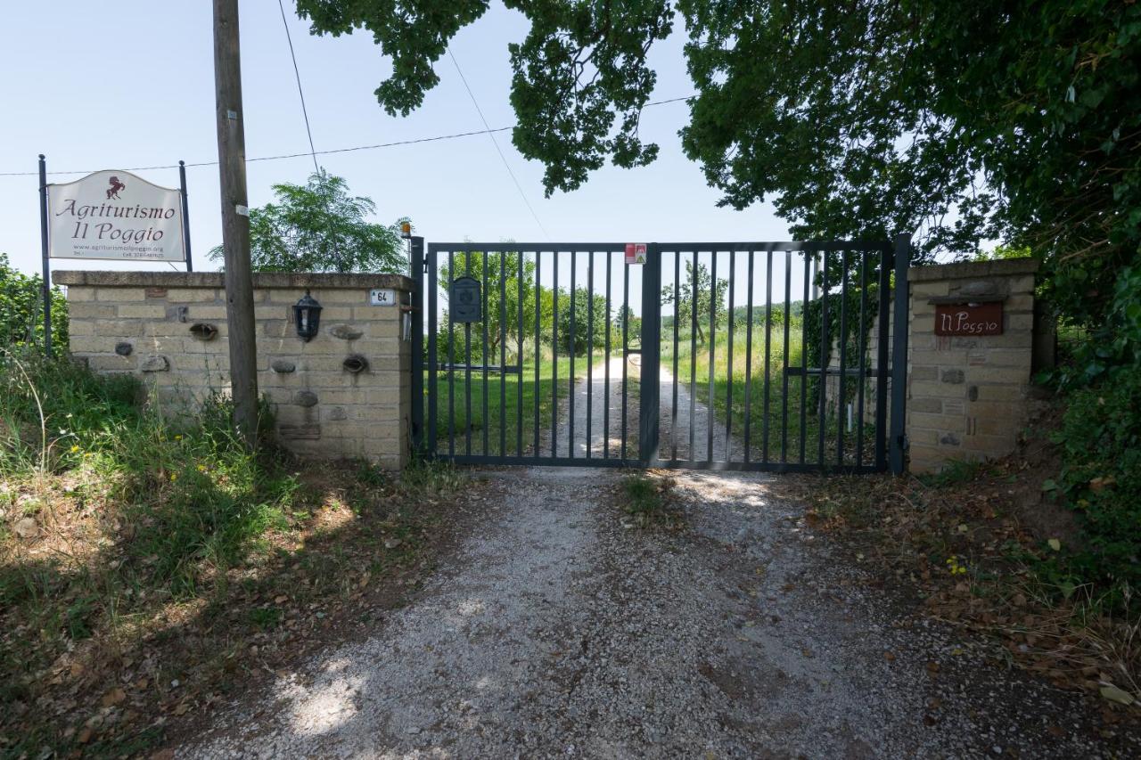 Il Poggio * Vetralla